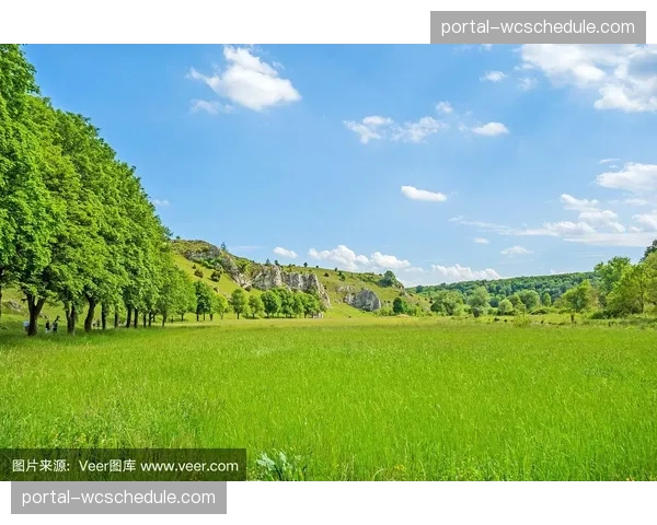 海登海姆主场草皮洒水系统故障，导致中场休息时工作人员人工浇水